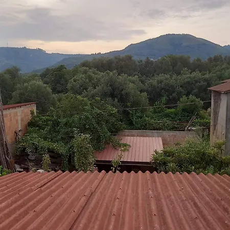 Calabria Collina Di Scilla Casale Ostello1800 Self Service Giardino Stanze E Per Famiglie Coppie E Single Pzza S Gaetano 16 Melia