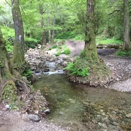 Calabria Collina Di Scilla Casale Ostello1800 Self Service Giardino Stanze E Per Famiglie Coppie E Single Pzza S Gaetano 16 Vakantiehuis Melia