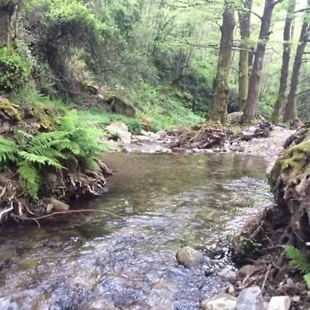 Calabria Collina Di Scilla Casale Ostello1800 Self Service Giardino Stanze E Per Famiglie Coppie E Single Pzza S Gaetano 16 *