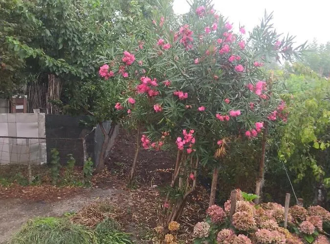 Calabria Collina Di Scilla Casale Ostello1800 Self Service Giardino Stanze E Per Famiglie Coppie E Single Pzza S Gaetano 16