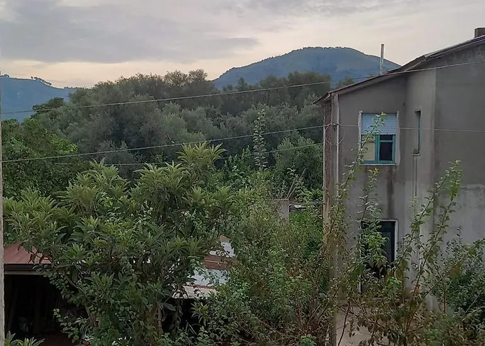 Casa de Férias Calabria Collina Di Scilla Casale Ostello1800 Self Service Giardino Stanze E Per Famiglie Coppie E Single Pzza S Gaetano 16 *