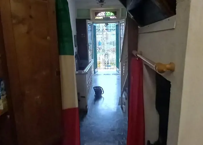 Calabria Collina Di Scilla Casale Ostello1800 Self Service Giardino Stanze E Per Famiglie Coppie E Single Pzza S Gaetano 16 Casa de Férias