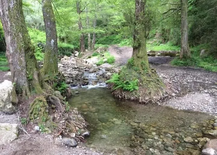 Calabria Collina Di Scilla Casale Ostello1800 Self Service Giardino Stanze E Per Famiglie Coppie E Single Pzza S Gaetano 16 Casa de Férias Melia