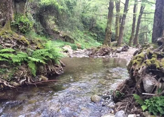 Calabria Collina Di Scilla Casale Ostello1800 Self Service Giardino Stanze E Per Famiglie Coppie E Single Pzza S Gaetano 16 *
